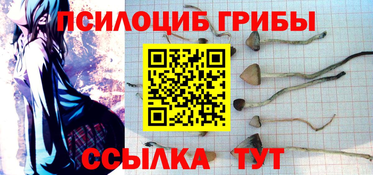 Галлюциногенные грибы мицелий  Вход с VPN  Донецк 