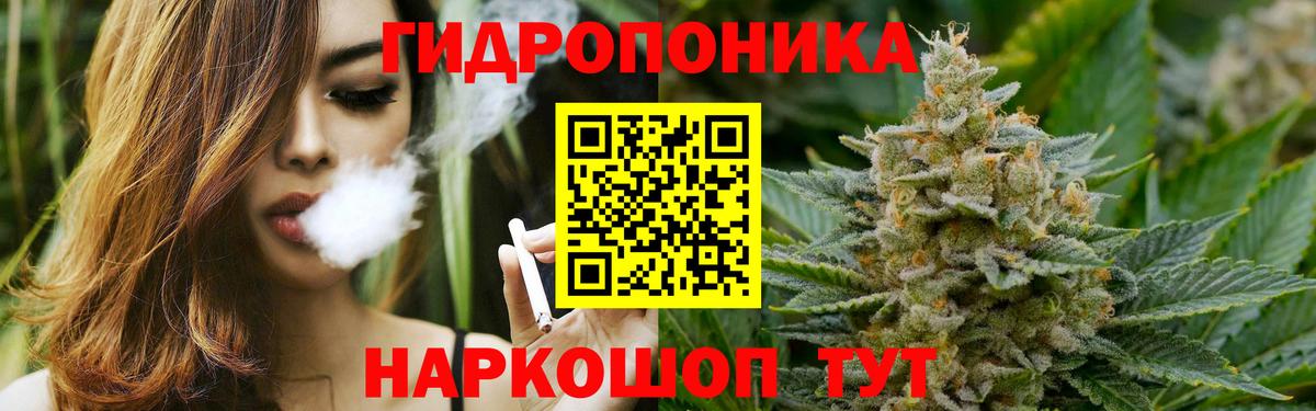 Бошки Шишки планчик Донецк